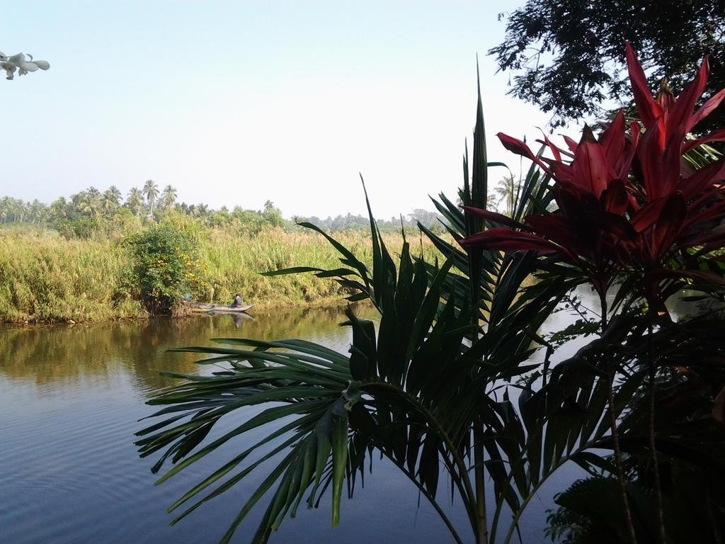 Randoni Villa Raddoluwa Extérieur photo