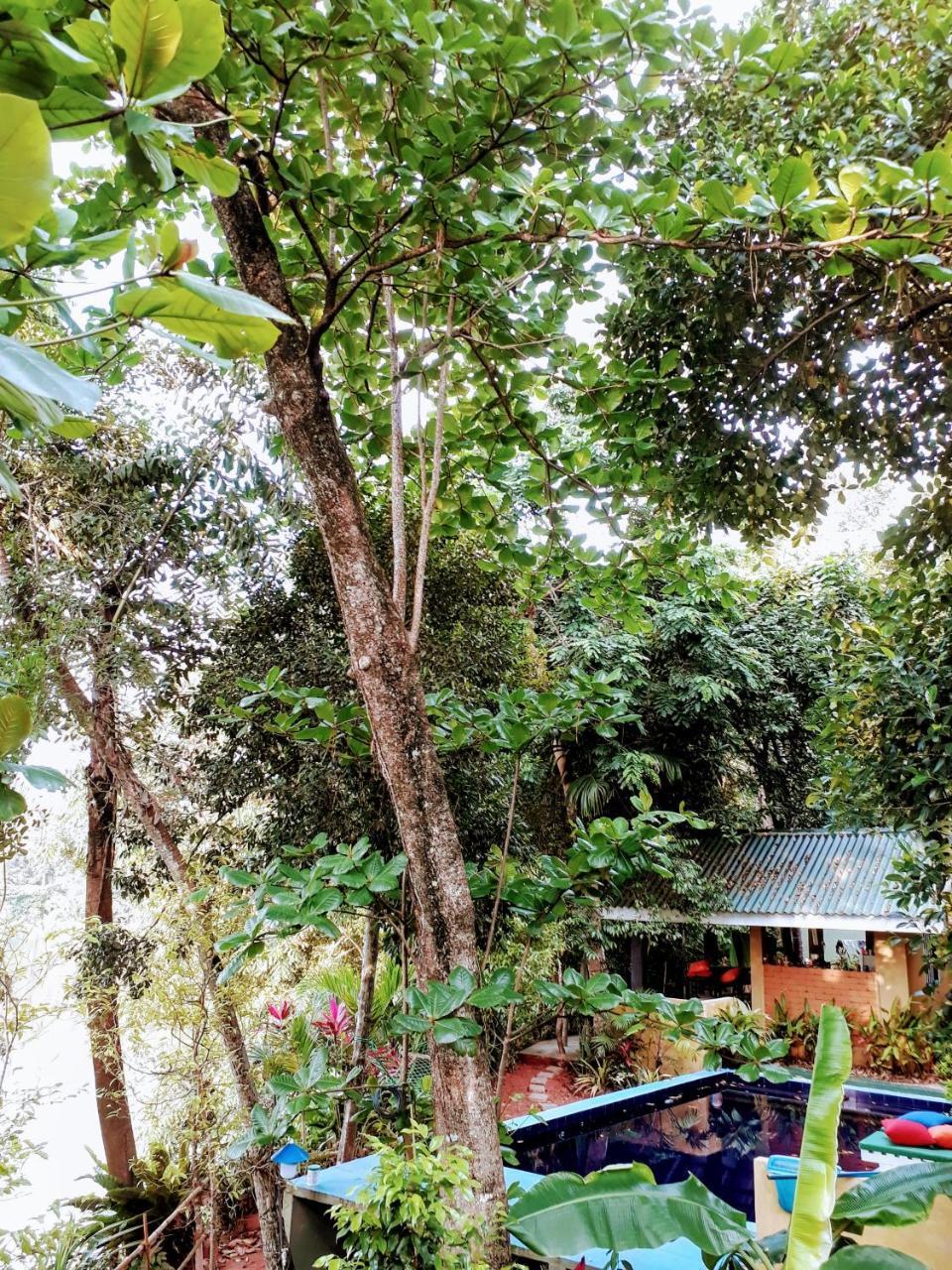 Randoni Villa Raddoluwa Extérieur photo